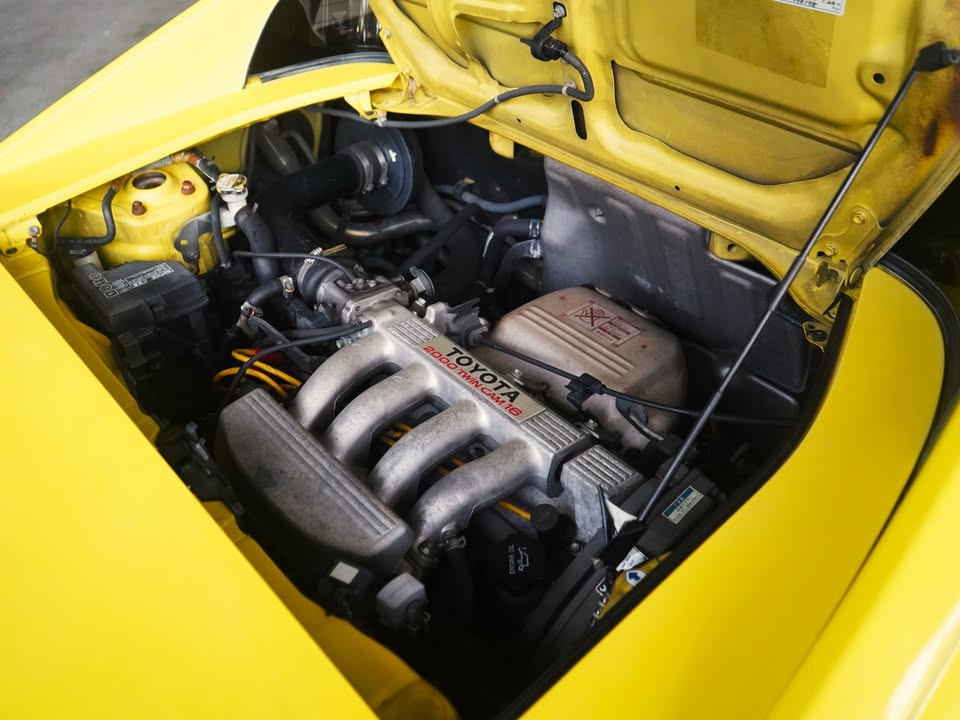 Import cars from Japan